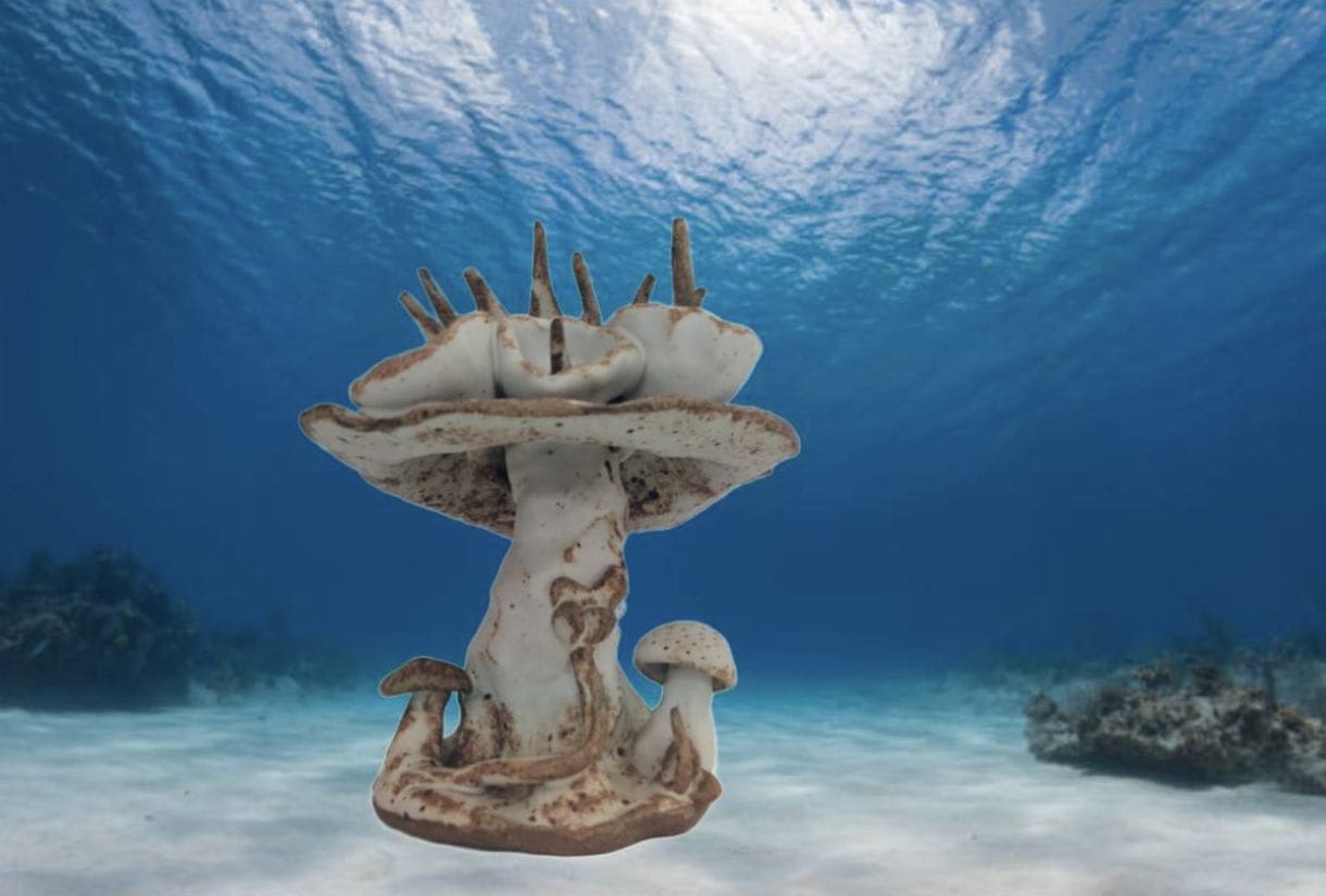 30A Underwater Museum of Art A Haven for Marine Life