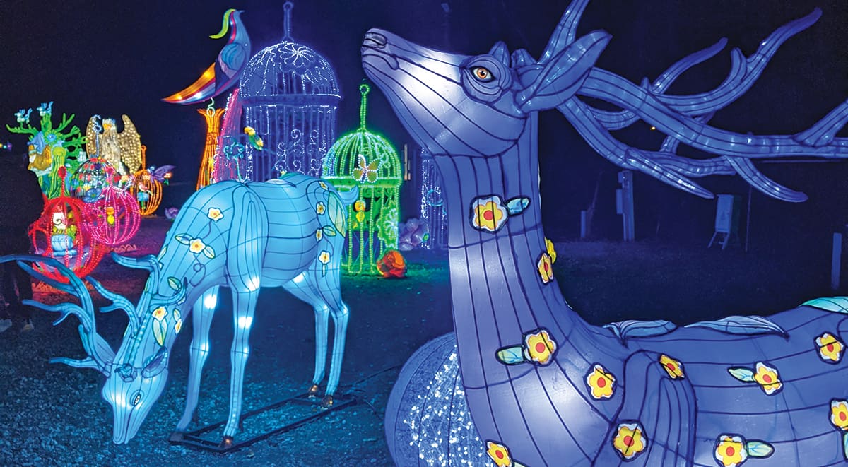 SeaLight Festival at Seascape Resort